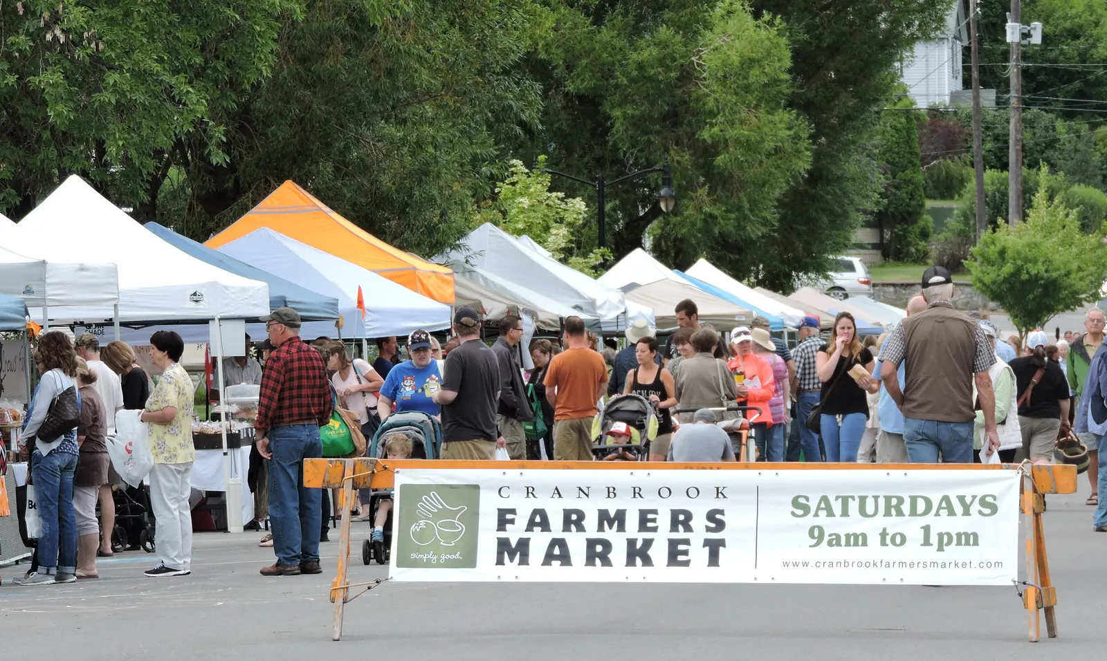 Vendors and shoppers at the Cranbrook Farmers Market